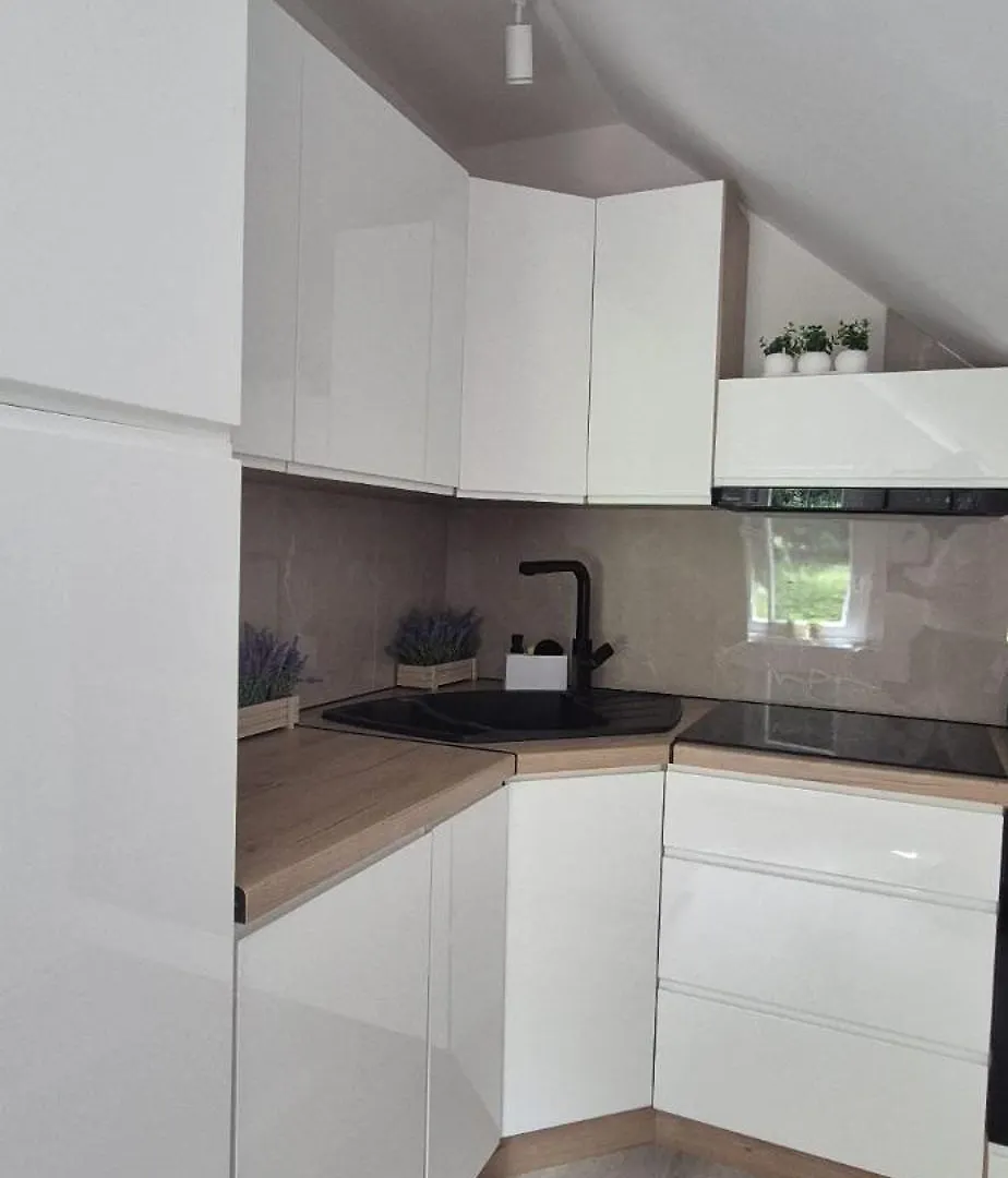 Apartament Aleklimat - Wsrod Zieleni - Obok Wyjscia Na Szlak كارباش شقة